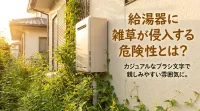 給湯器に雑草が侵入する危険性とは？