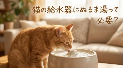 猫の給水器にぬるま湯って必要？