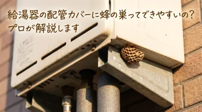 給湯器の配管カバーに蜂の巣ってできやすいの?